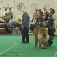 Salzburg Clubschau Mai 06 160 